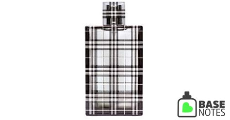 burberry brit for men base notes|burberry brit fragrance notes.